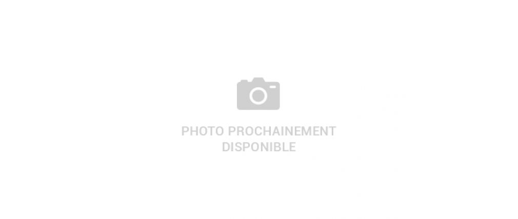 Tabouret de bar andromede