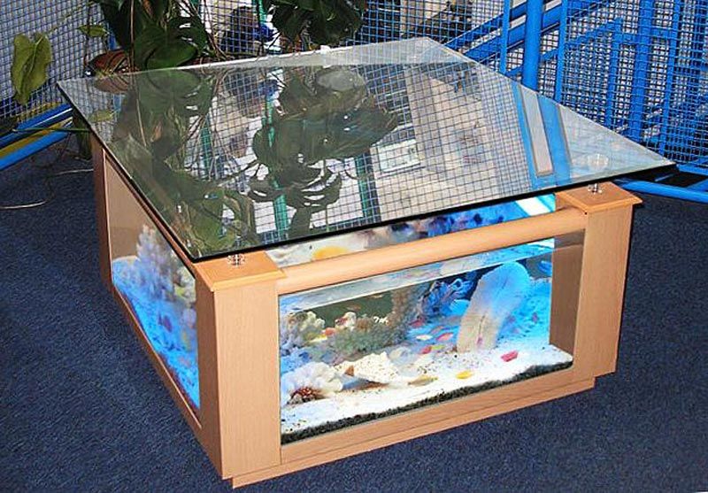 Table basse aquarium 300 litre aquatlantis