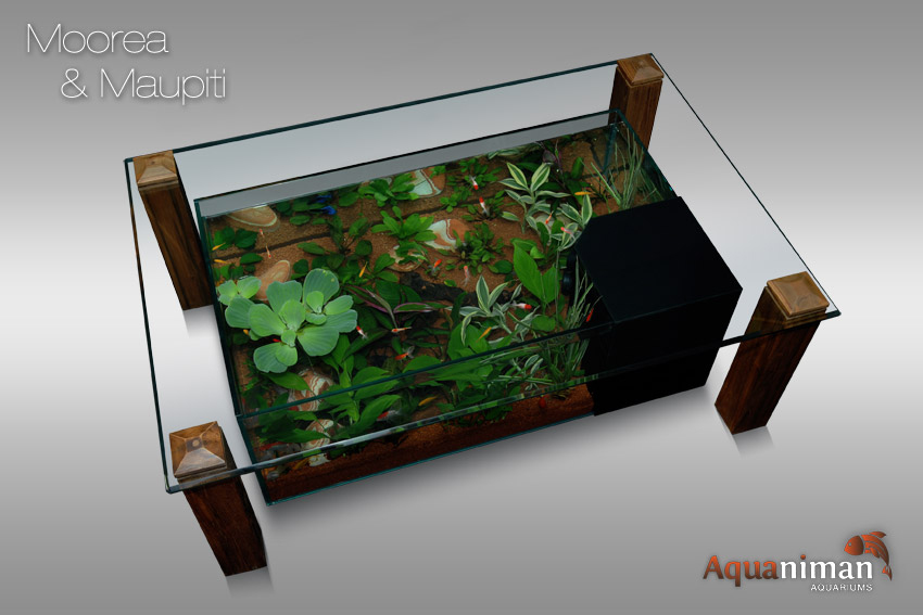 Table basse aquarium condensation