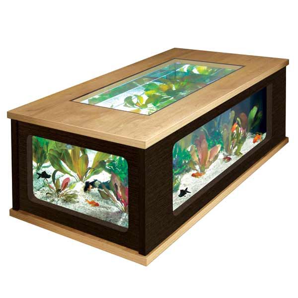 Table basse aquarium bora bora