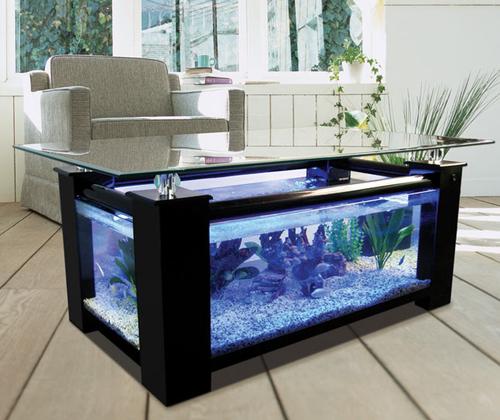 Table basse aquarium design