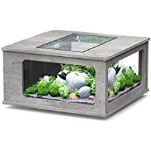 La table basse aquarium