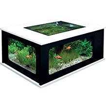 Table basse avec aquarium pas cher