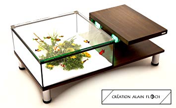 Table basse d'aquarium