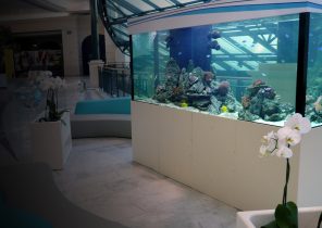 Table basse aquarium sur mesure