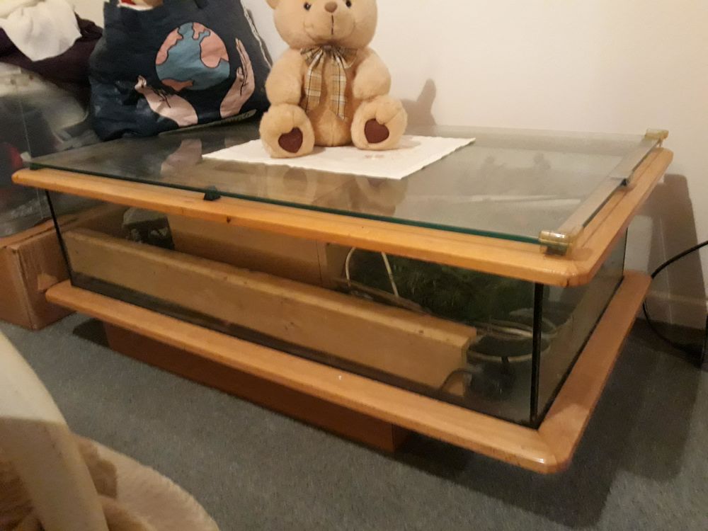 Table basse aquarium d'occasion