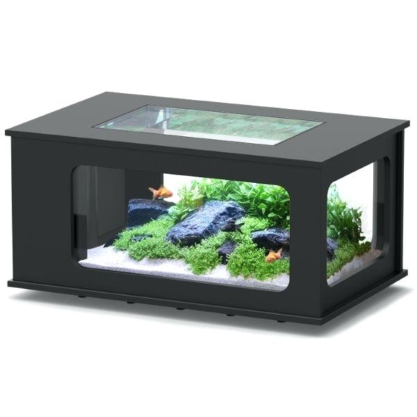 Table basse aquarium animalis