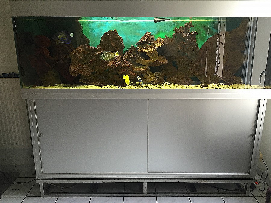 Table basse aquarium rouge