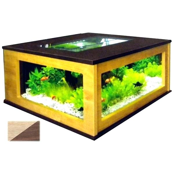 Table basse aquarium maroc