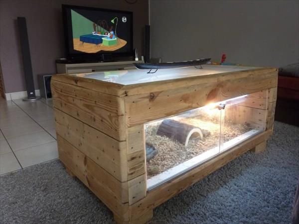 Table basse terrarium