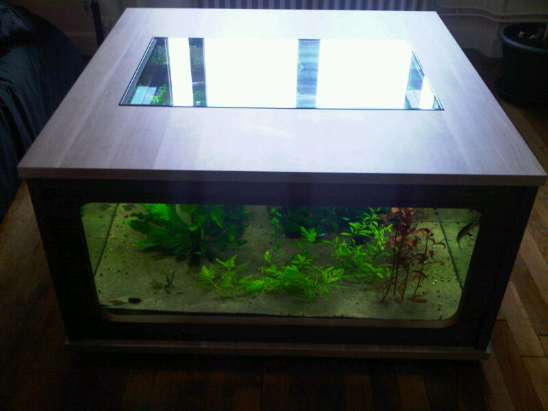 Aquarium table basse aquarium neuve 250