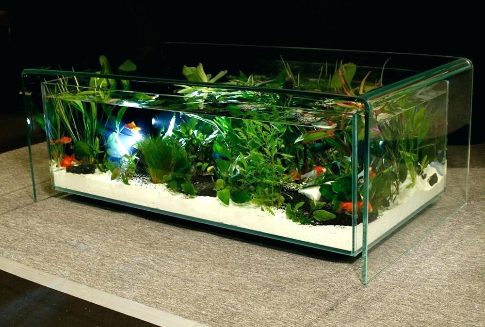 Table basse aquarium fait maison