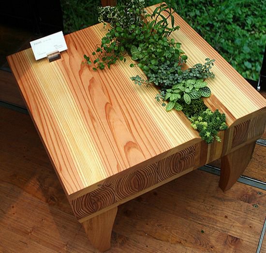 Table basse palette avec plante