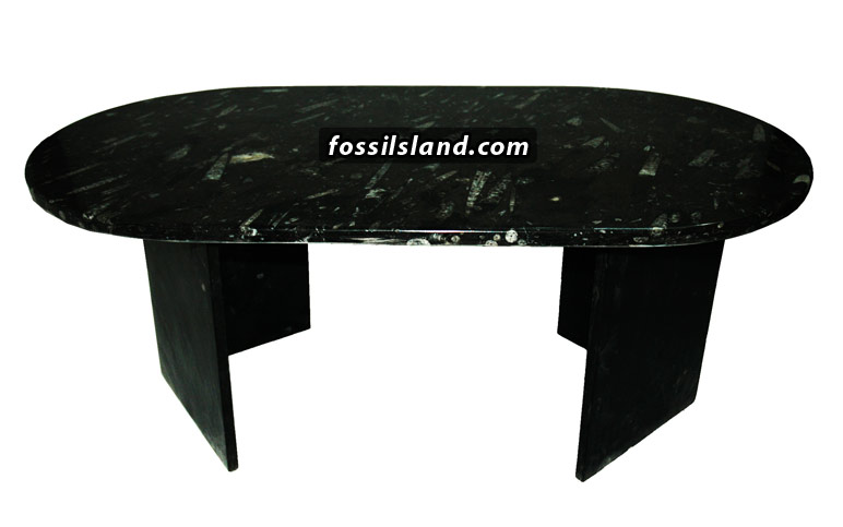 Table basse marbre fossilisé