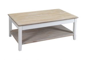 Table basse en bois avec double plateau et 1 niche longueur 110 cm javanie