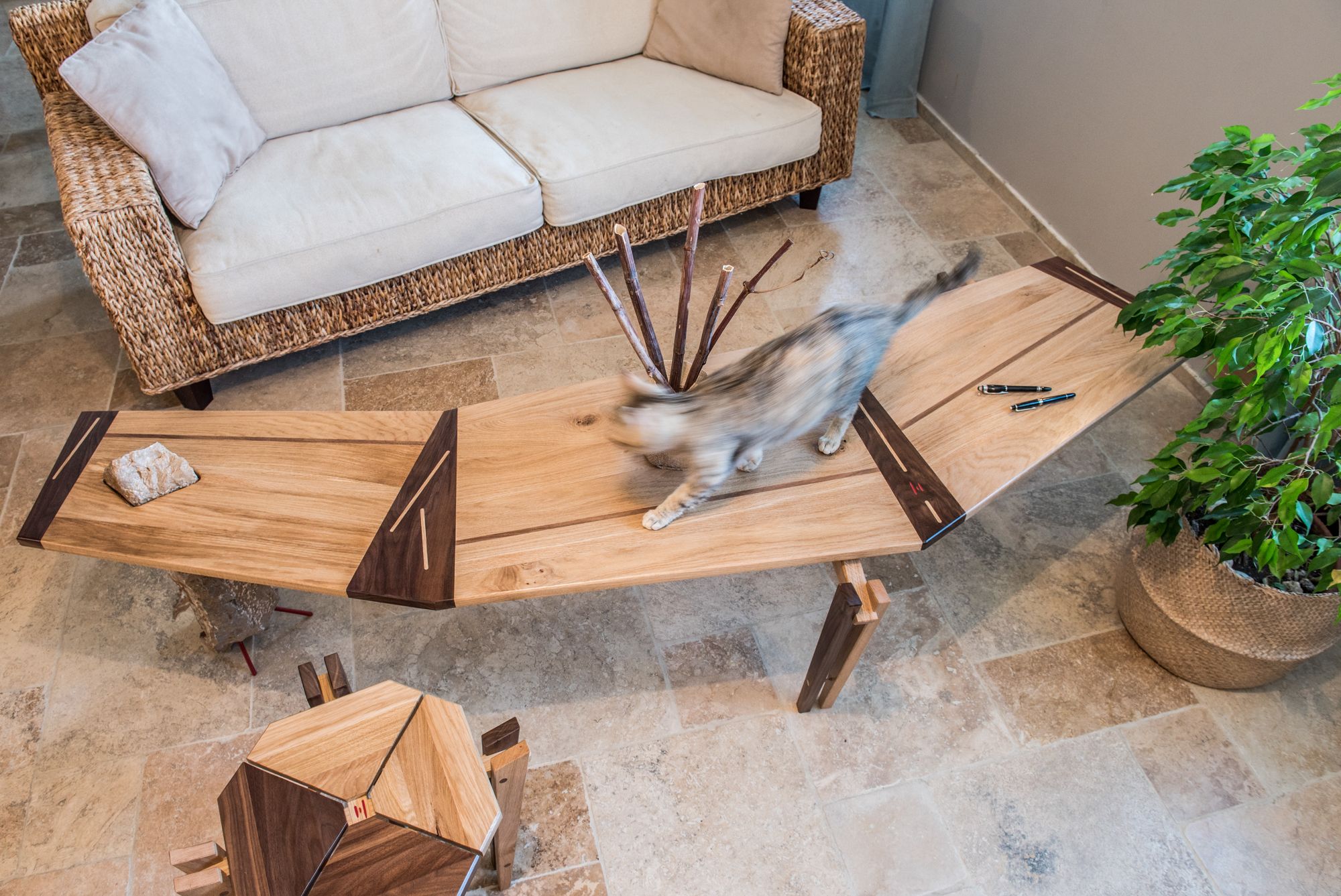 Table basse haut de gamme bois