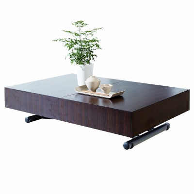 Table basse jardin relevable