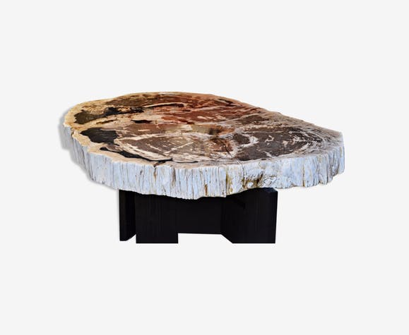 Table basse en bois petrifie