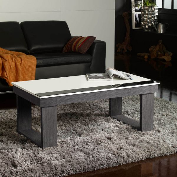 Table basse blanc et bois gris