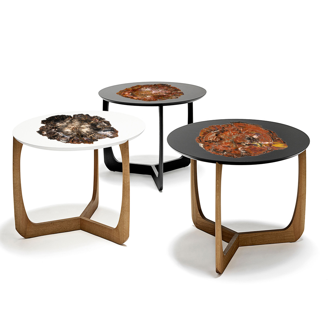 Table basse bois silicifié