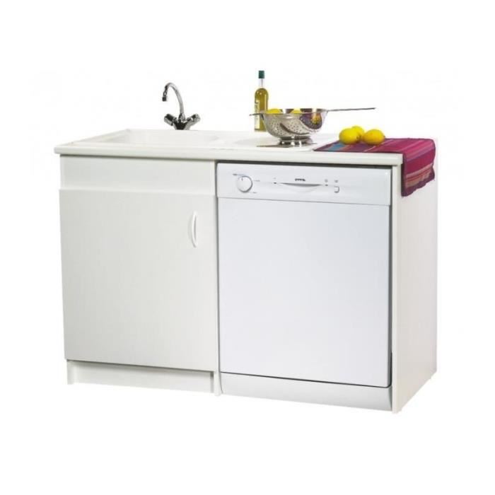 Lave vaisselle encastrable sous evier